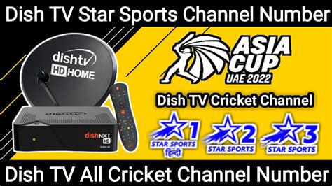 watch dish tv online|dish online live tv.